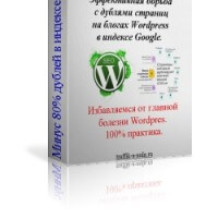 Эффективная борьба с дублями страниц на блогах WordPress (видеокурс с правами перепродажи) Эффективная борьба с дублями страниц на блогах WordPress (видеокурс с правами перепродажи)