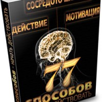 Сосредоточенность. Мотивация. Действие. (аудиокнига для VIP) Сосредоточенность. Мотивация. Действие. (аудиокнига для VIP)