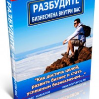 Разбудите бизнесмена внутри вас (книга с правами перепродажи) Разбудите бизнесмена внутри вас (книга с правами перепродажи)