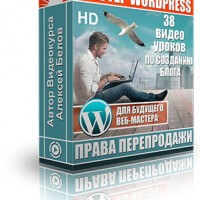 Мастер WordPress (видеокурс с правами перепродажи) Мастер WordPress (видеокурс с правами перепродажи)
