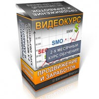 Продвижение и заработок (видеокурс для VIP) Продвижение и заработок (видеокурс для VIP)