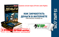 Как заработать деньги в интернете (книга с правами личной марки) Как заработать деньги в интернете (книга с правами личной марки)