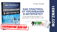 Как спастись от прозябания в Интернете (аудиокнига для VIP) Как спастись от прозябания в Интернете (аудиокнига для VIP)