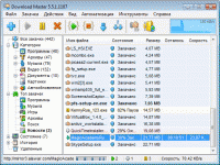 Download Master — программа для скачивания файлов Download Master — программа для скачивания файлов